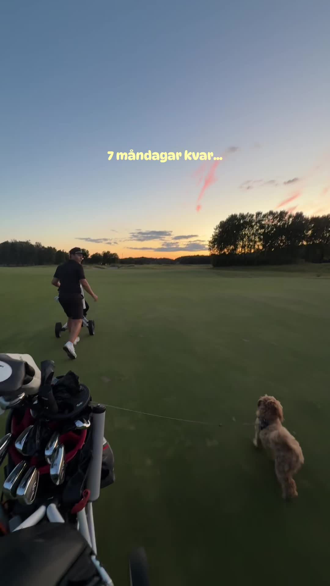 @ellen.golf