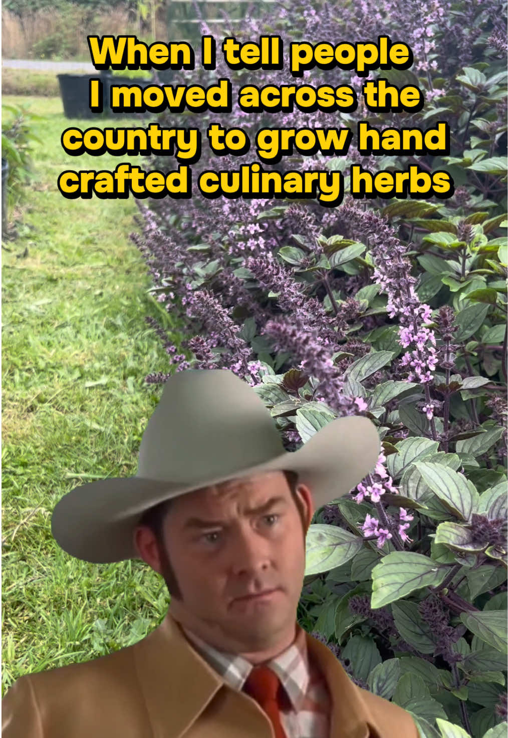 @Trevinsherbsandspice