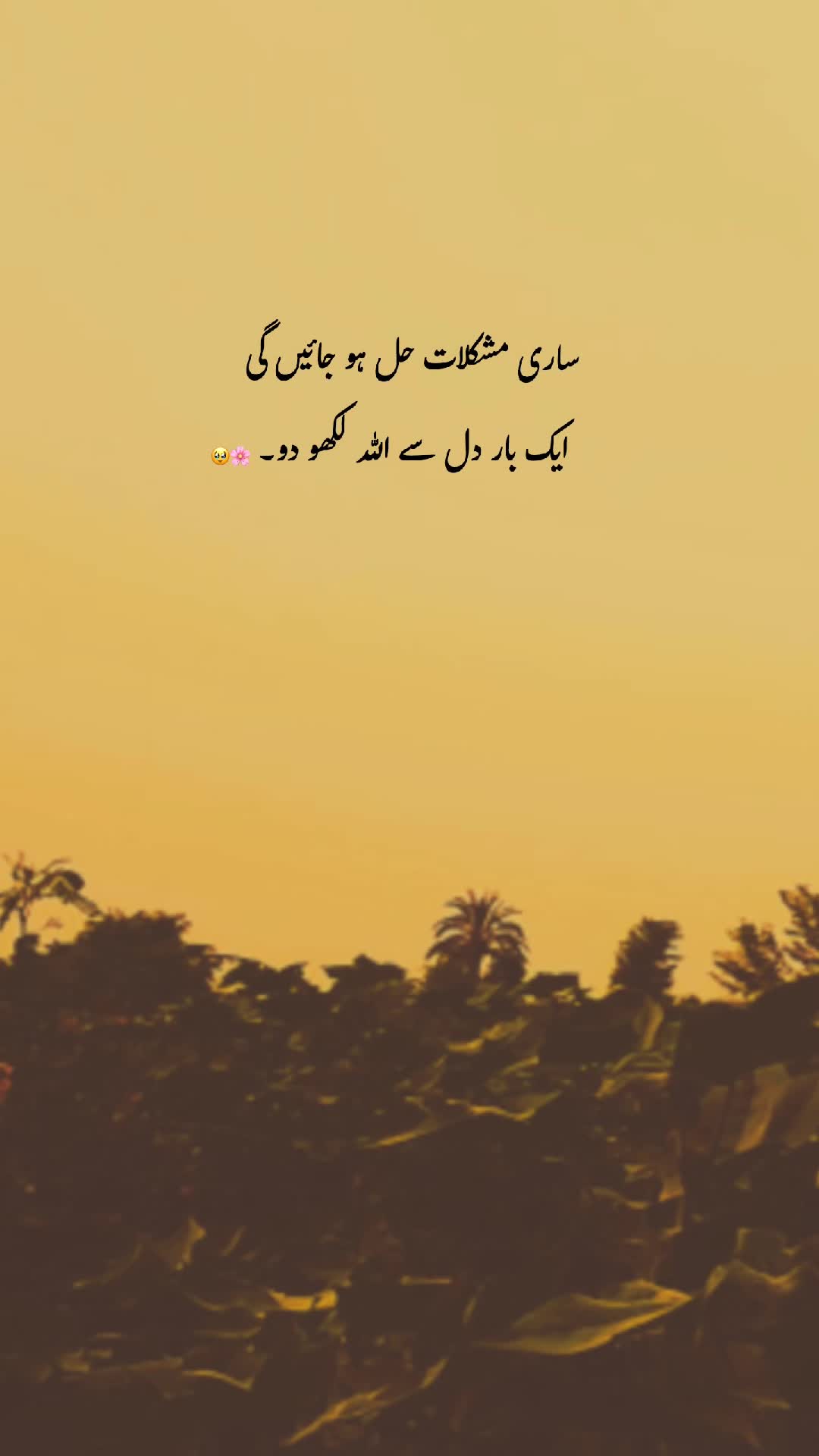 @𓆩♡𓆪