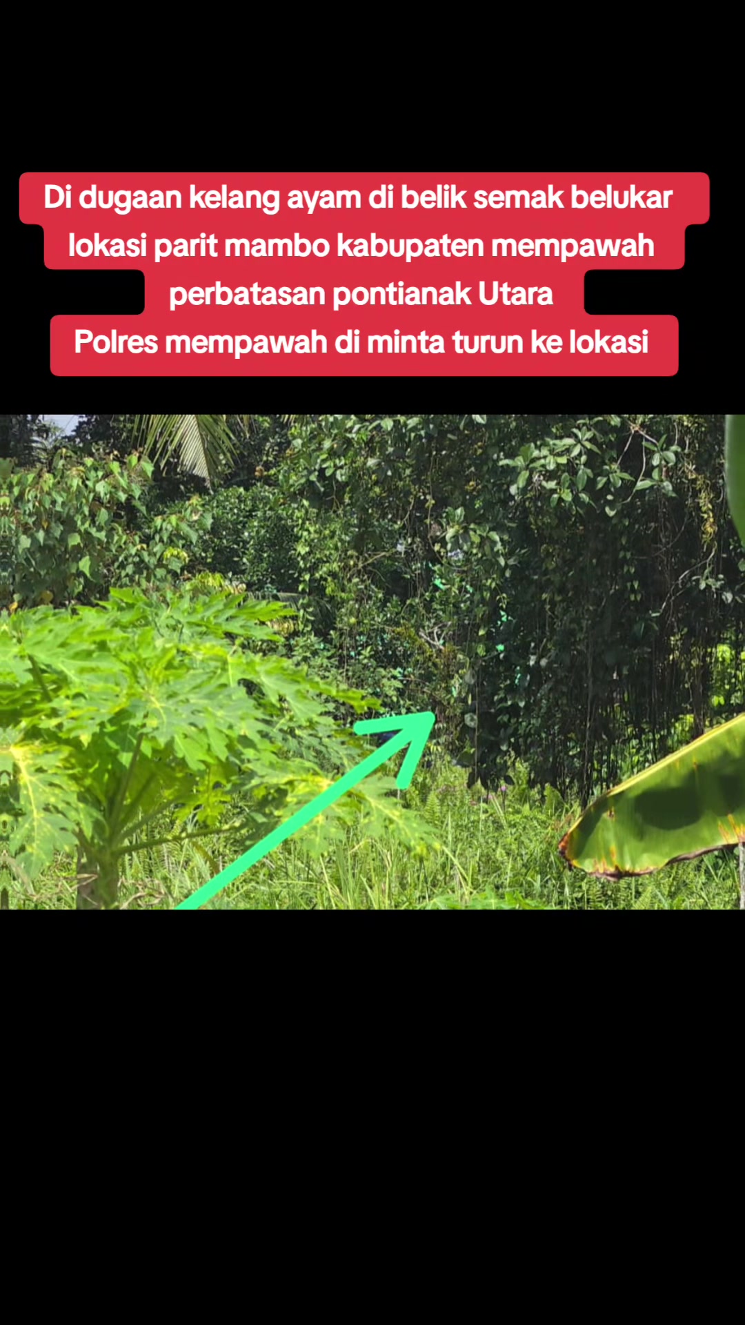 @media MHI perwakilan Kalbar