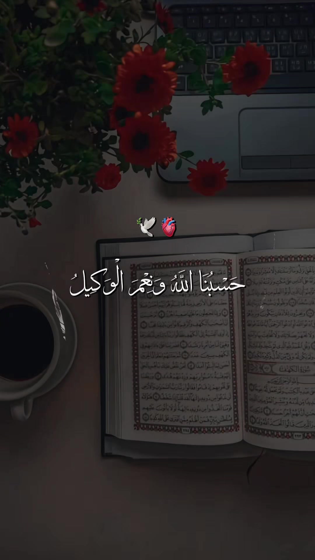 @𝐒𝐀𝐐𝐈𝐁 𝐄𝐃𝐈𝐓𝐒✨️