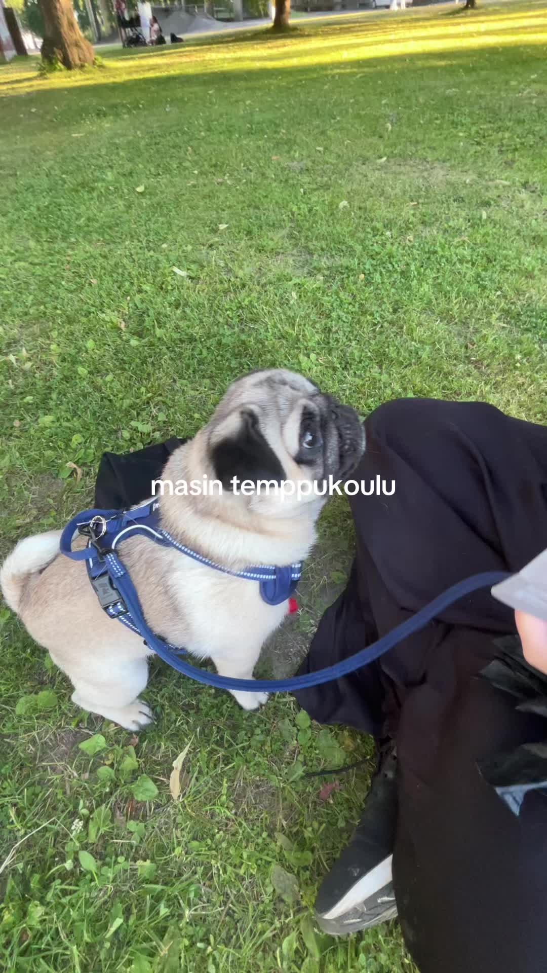 @emmi🤝