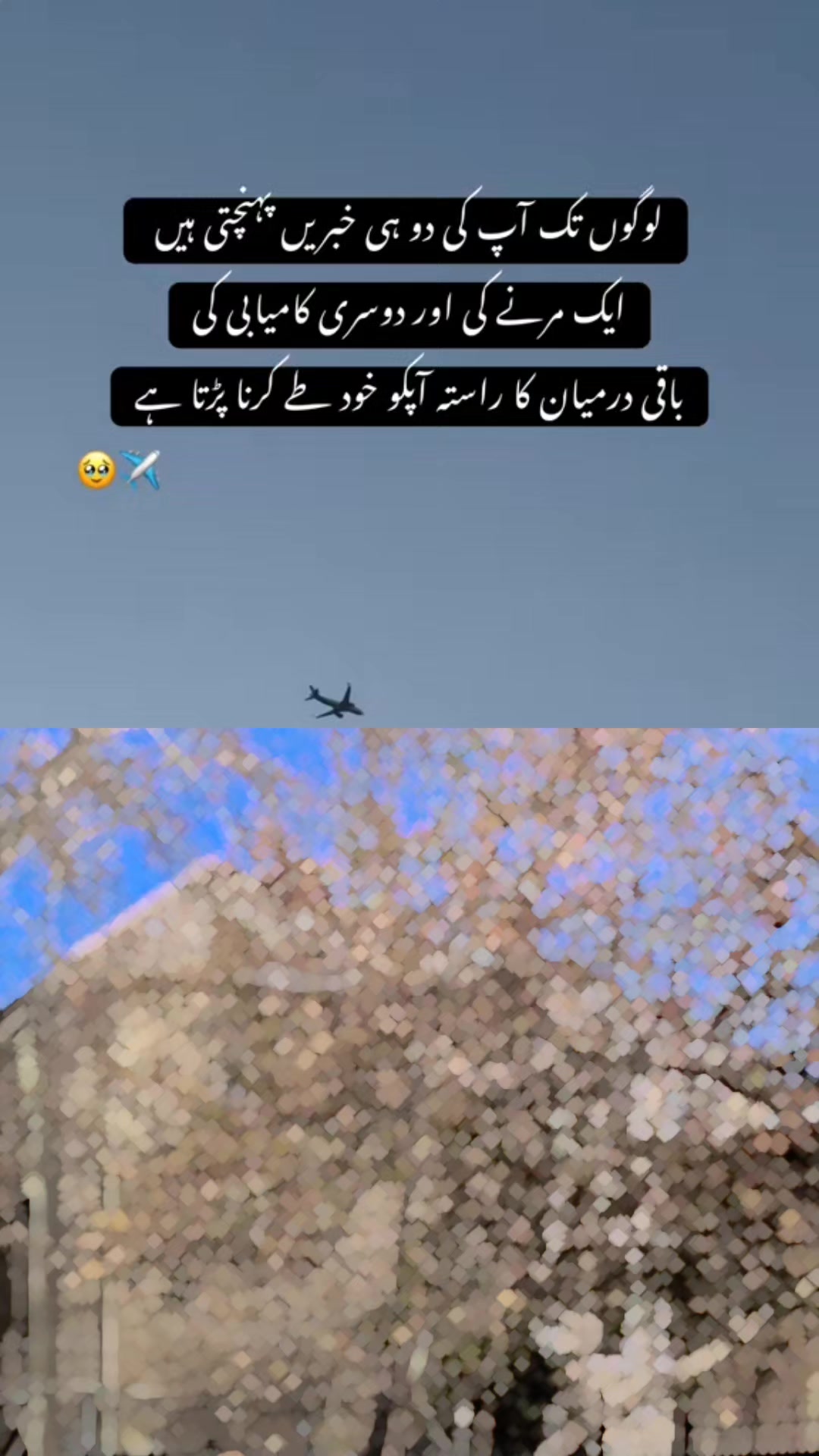 @๐๐๐ค๐๐ ๐ป๐๐๐ฃ๐๐จ๐๐๐