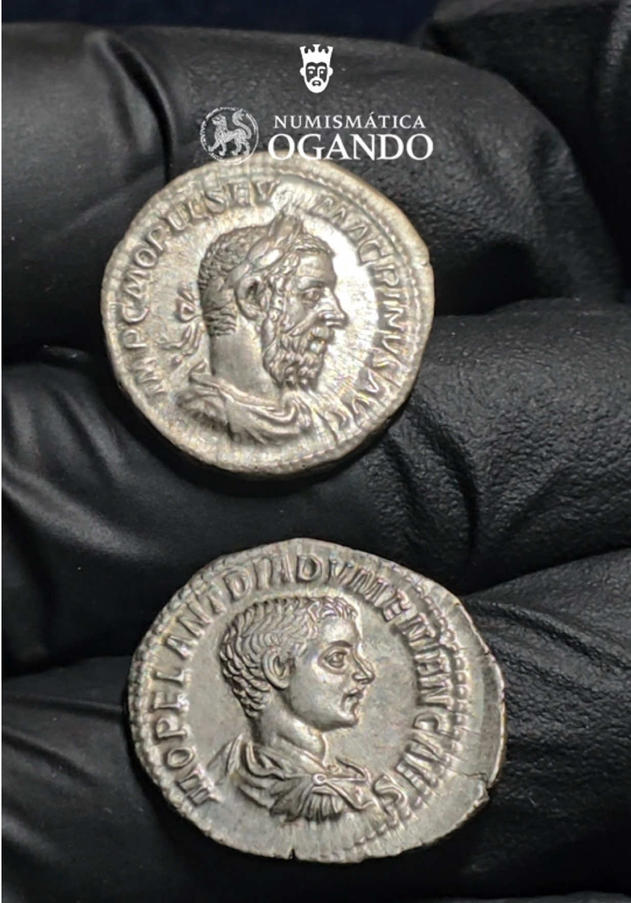 @Blog Numismático