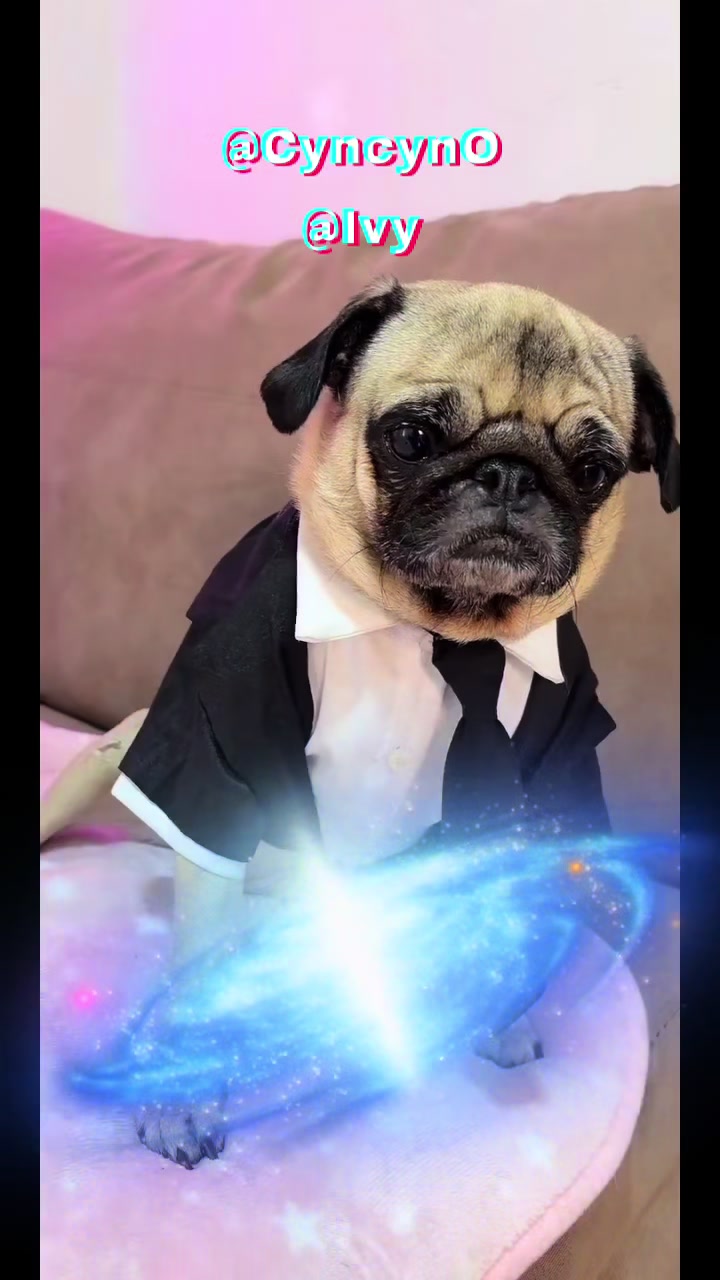 @Emma la Pug