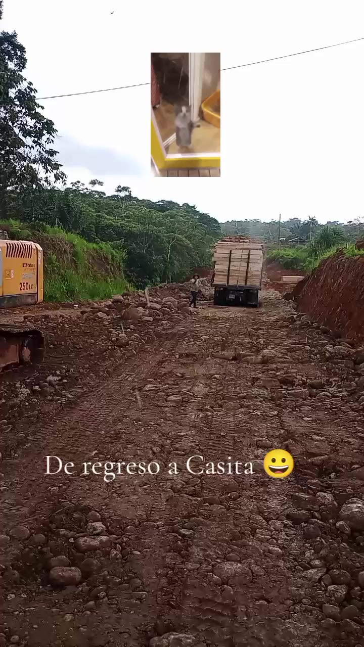 @"Jenny ๐ฆฟ๐๐ช๐จ"๐