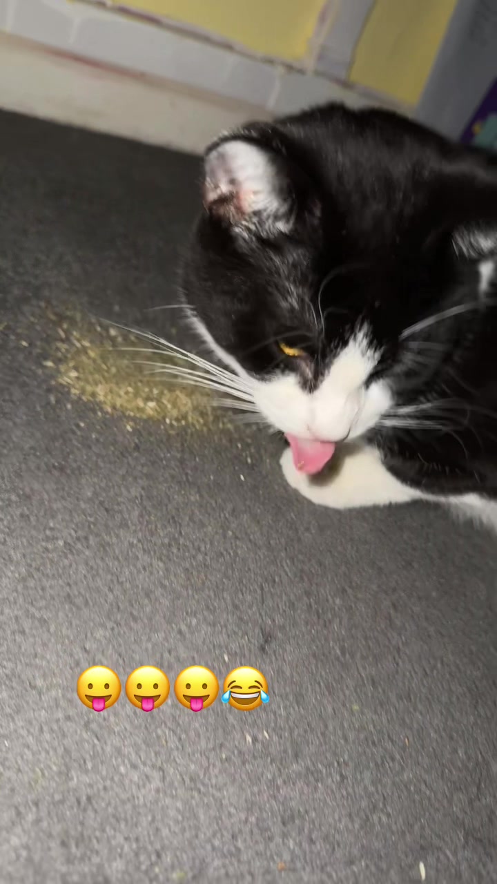 @Paigeyy