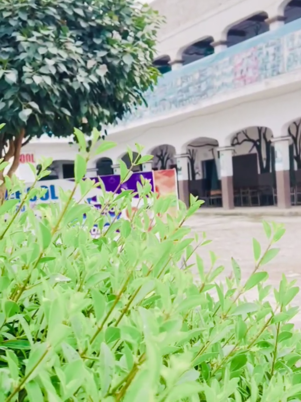 @NNS School Official