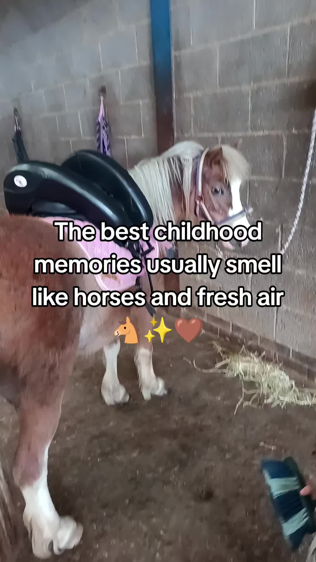 @tinychaosclub