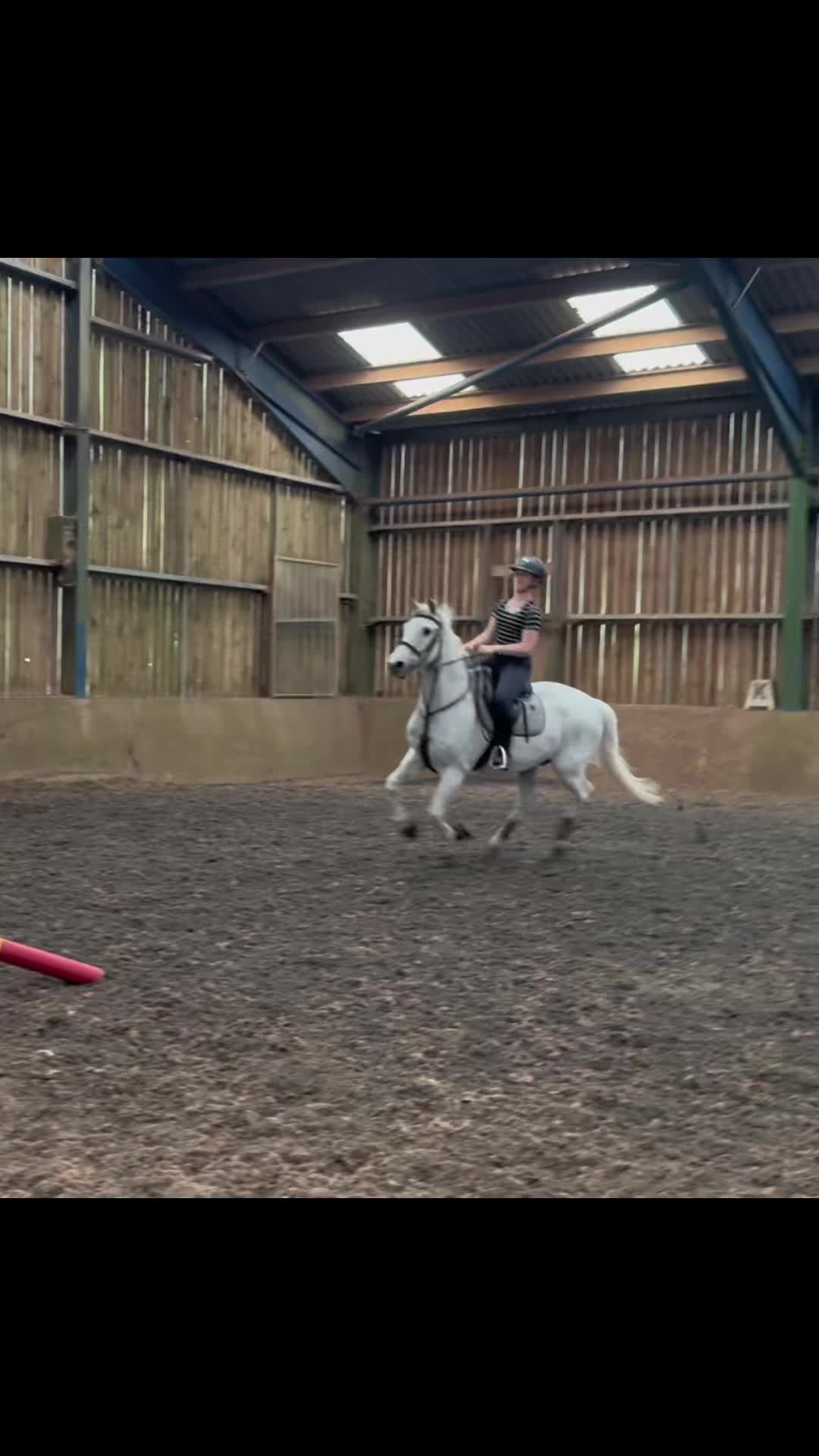 @bella_mccarthy.sj