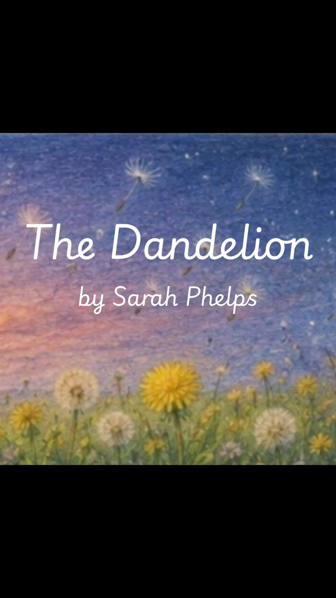 @Sarah Phelps Author