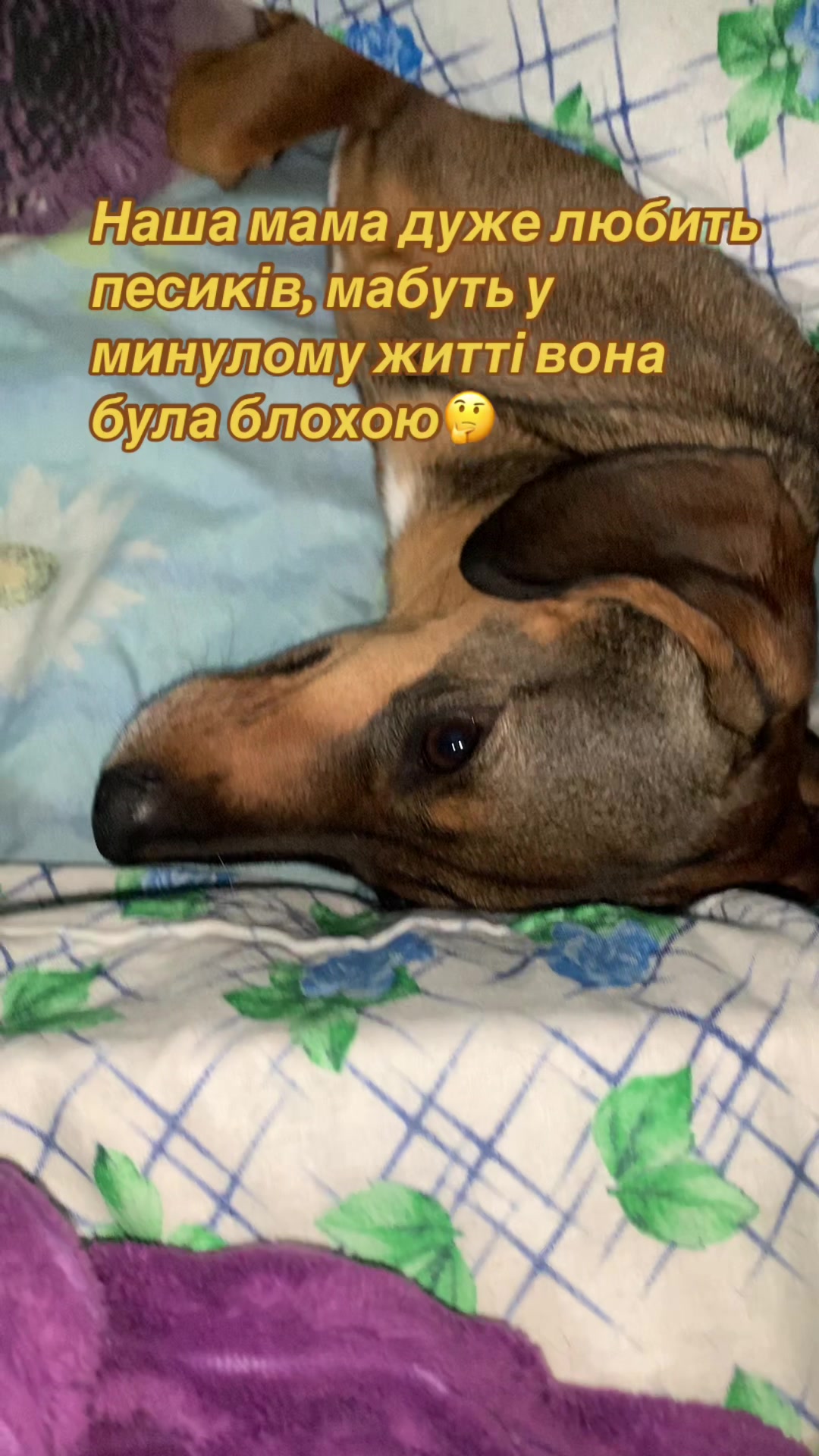 @nactya1081010810