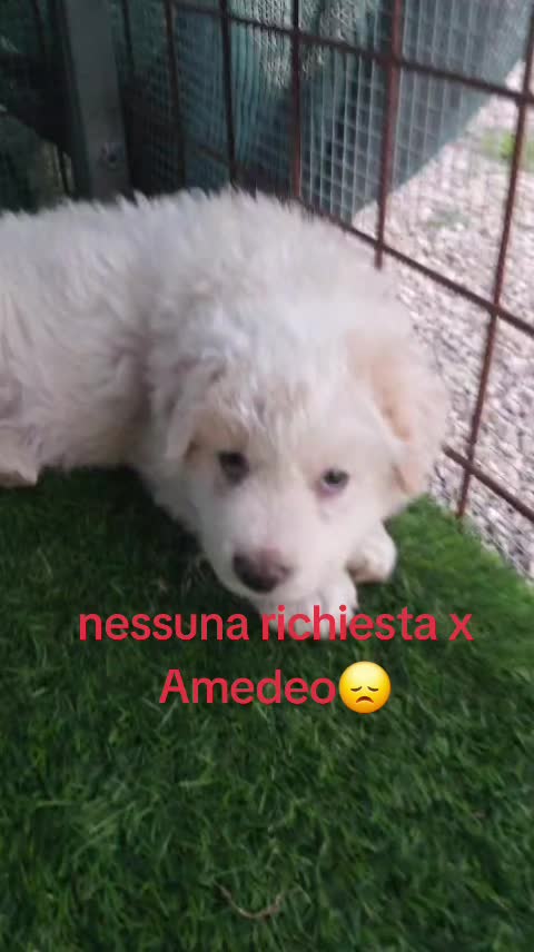 @Maria Rosaria Natill