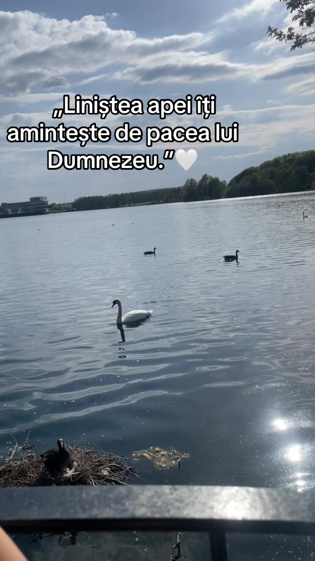 @Lidia Dobre