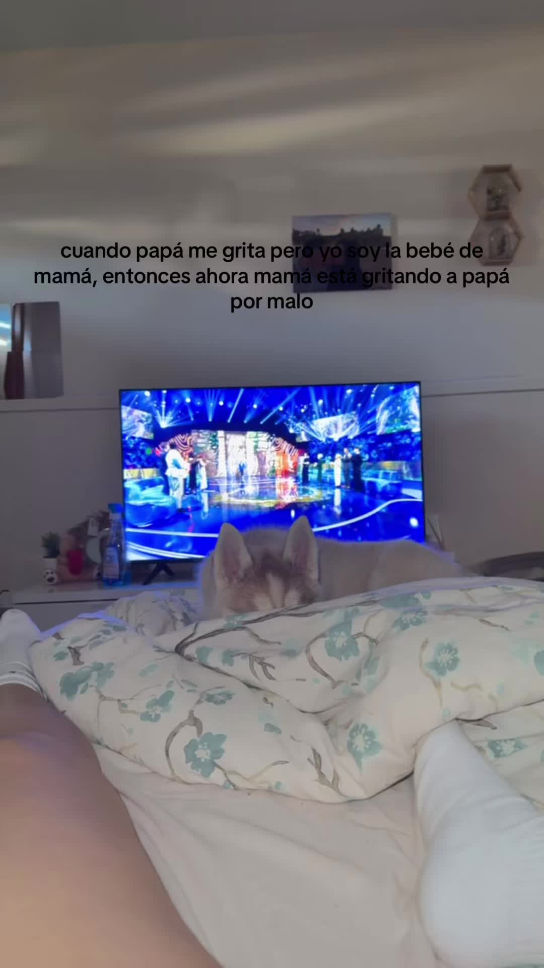 @carlaafelipee