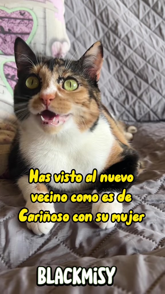 @BlackMisy