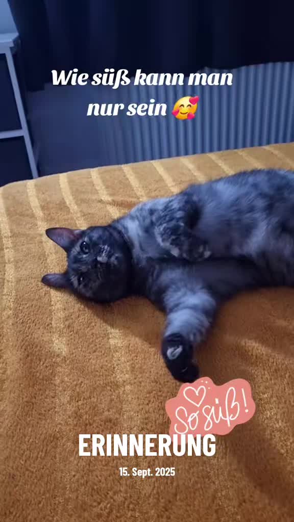 @Eva