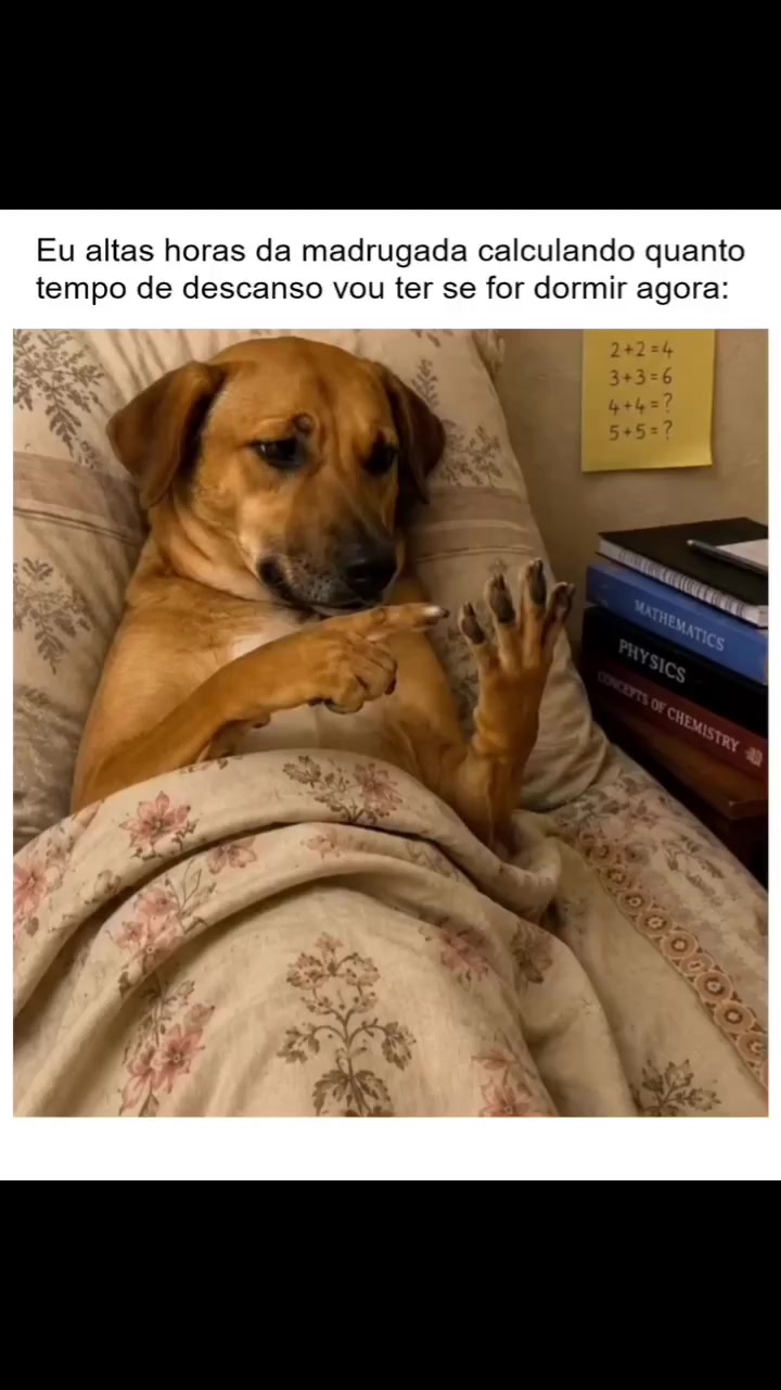 @&Eacute;𝐫𝐢𝐜𝐚