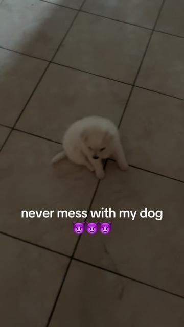@swizzy