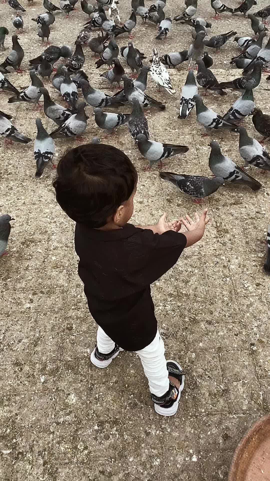 @عائشہ.🤎