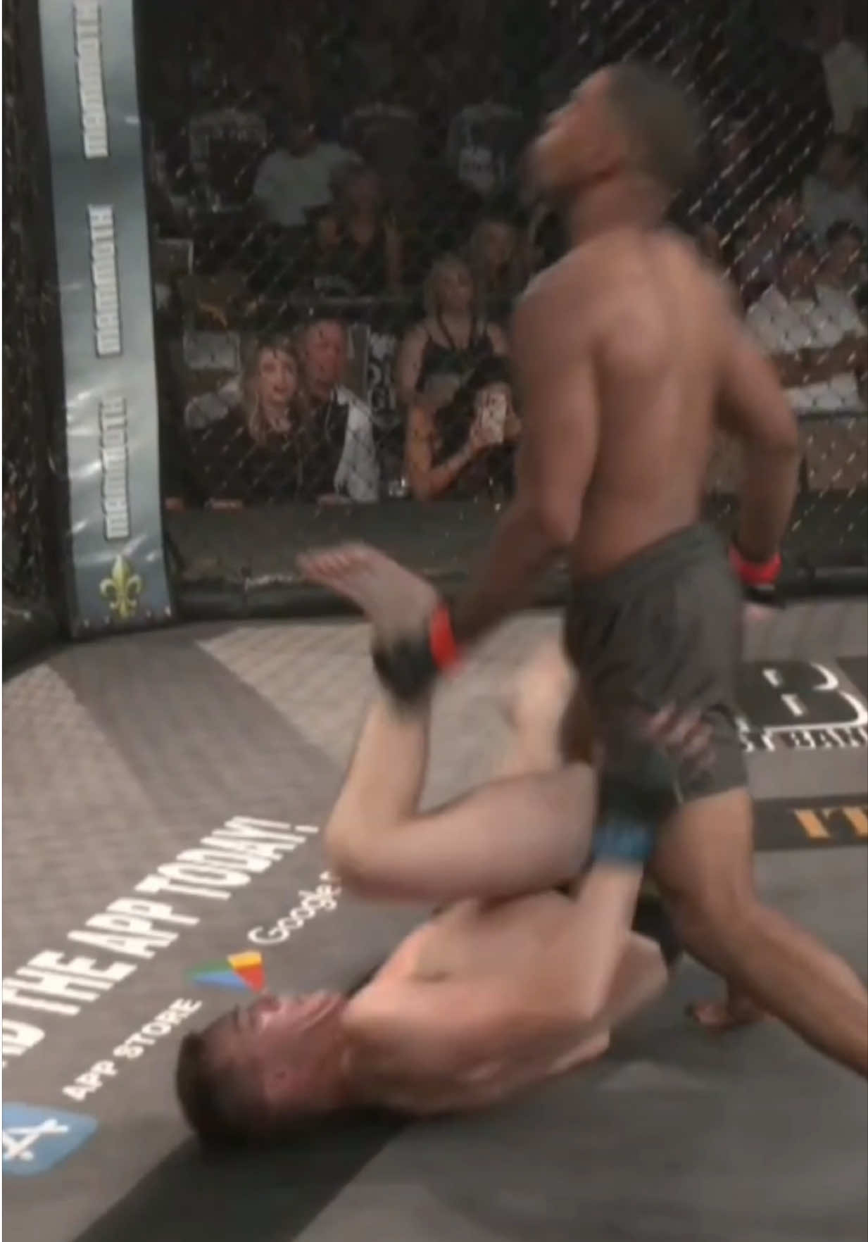 @FightingLab