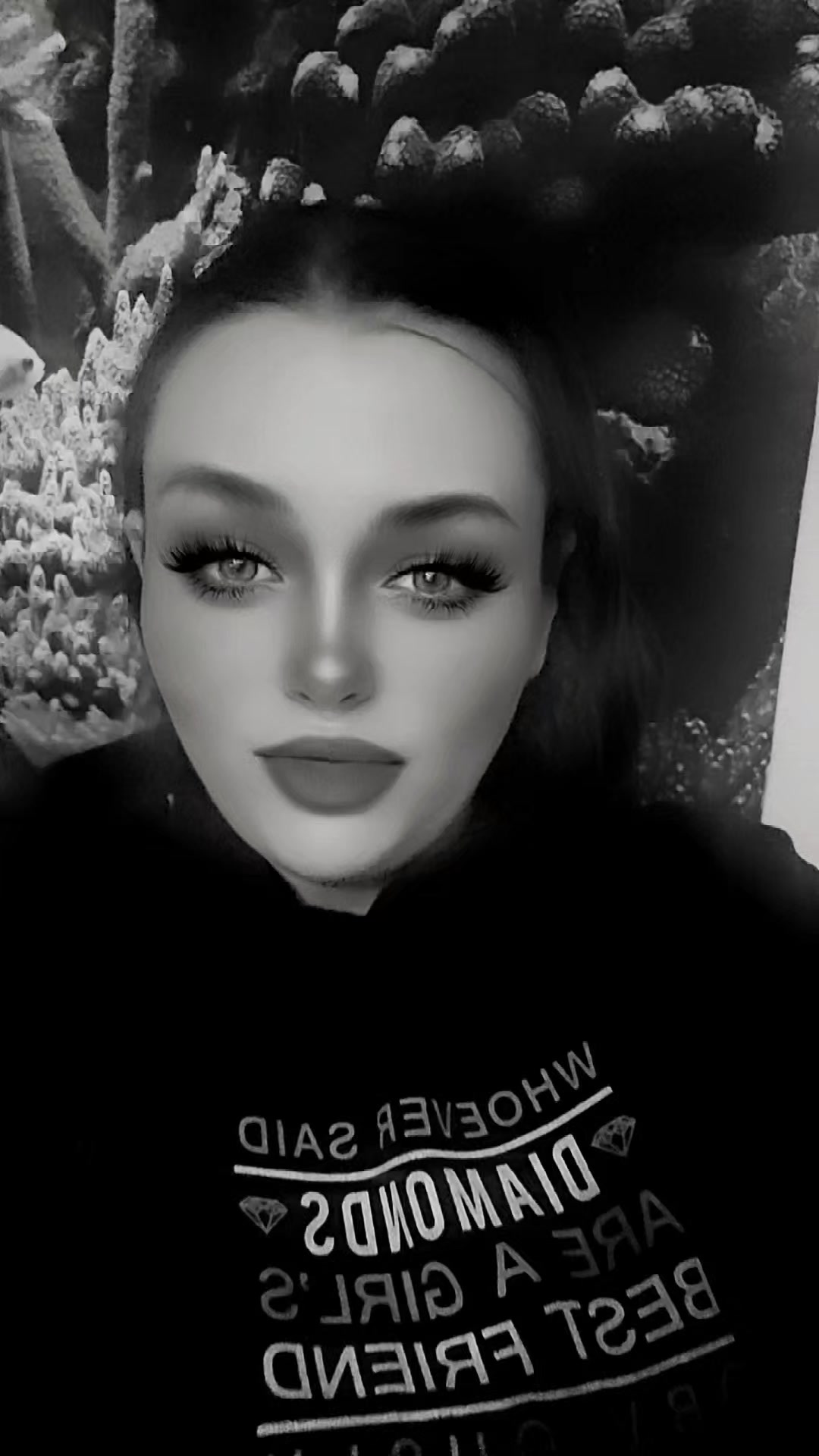 @KimCroft🧸🌹💙🎸🐋🐬🦋😈👻☘️🔥
