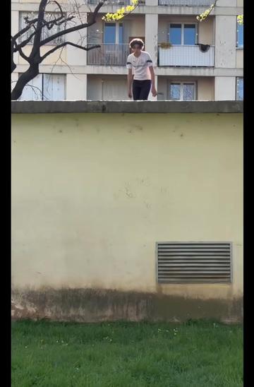 @lironleconnn