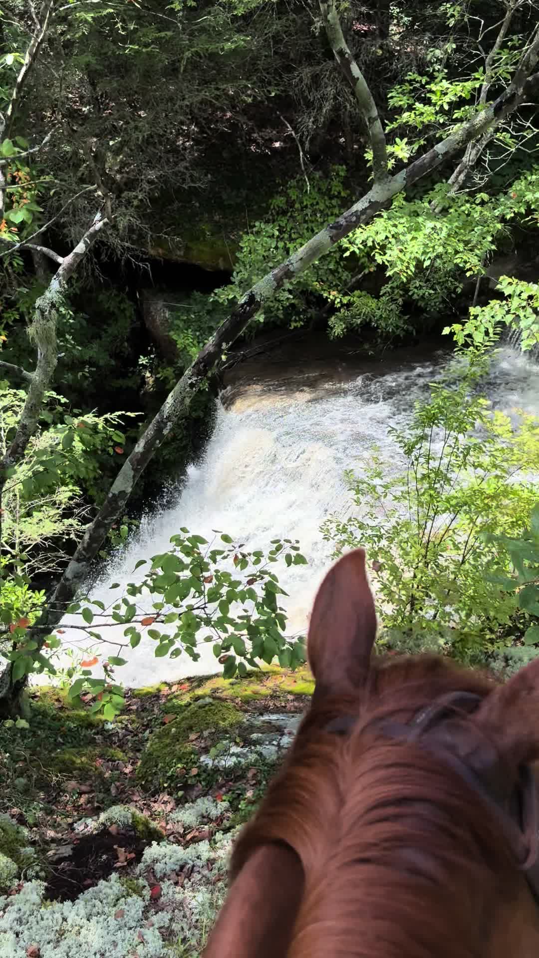 @Densmore Ranch