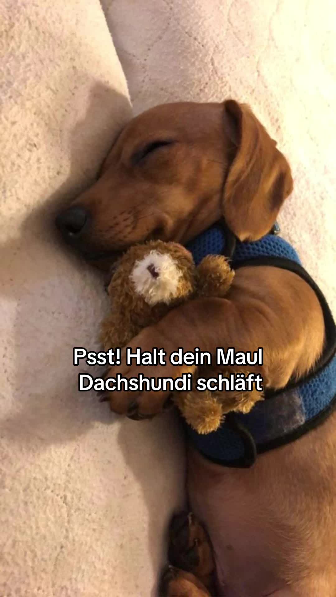 @່