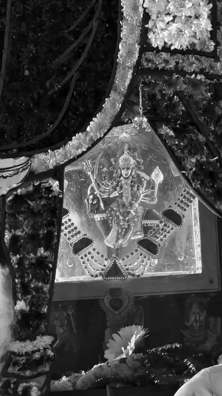 @JAY MATAJI 🙏🏻🙏🏻🙏🏻