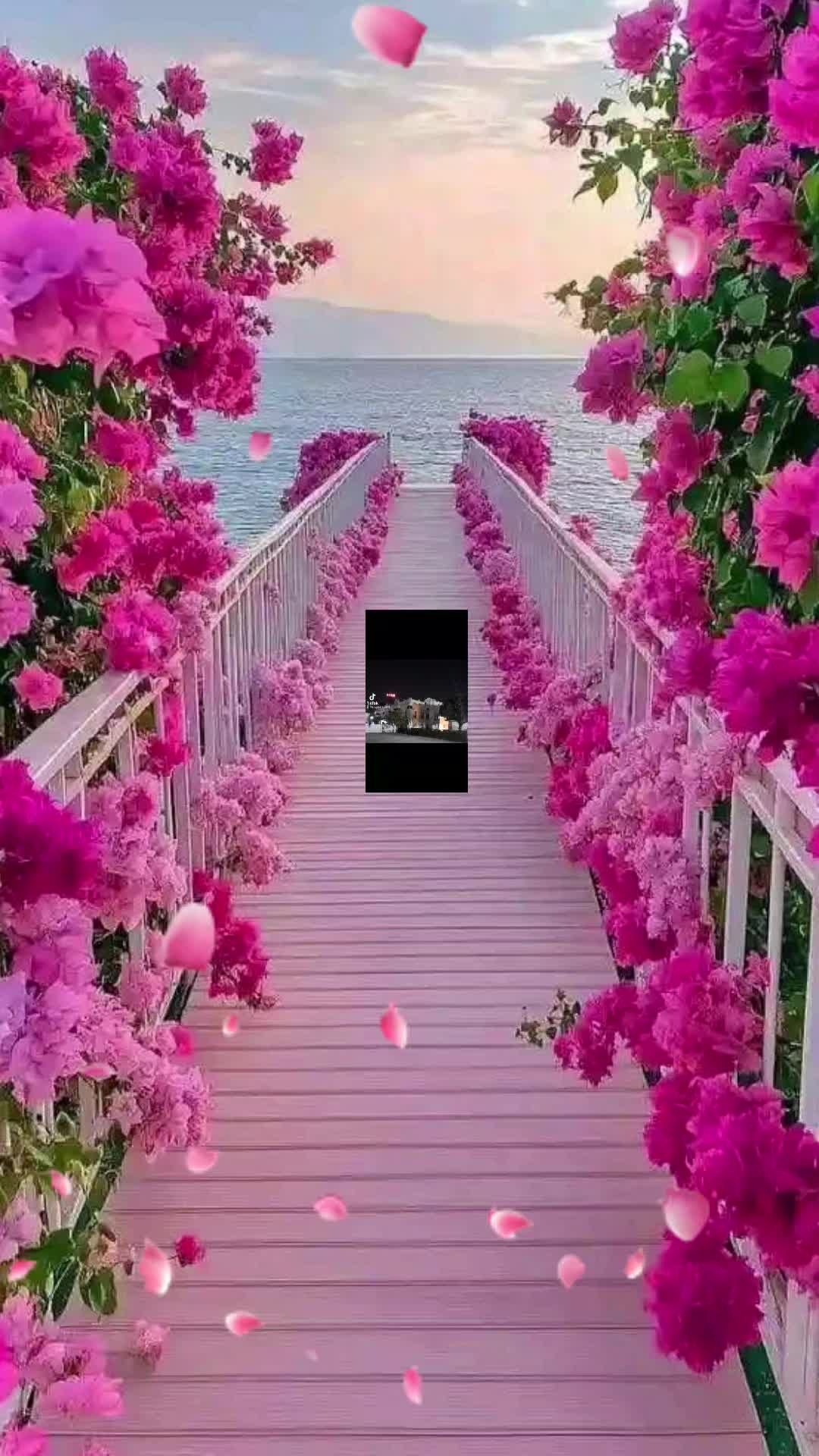 @arjunkarki5272