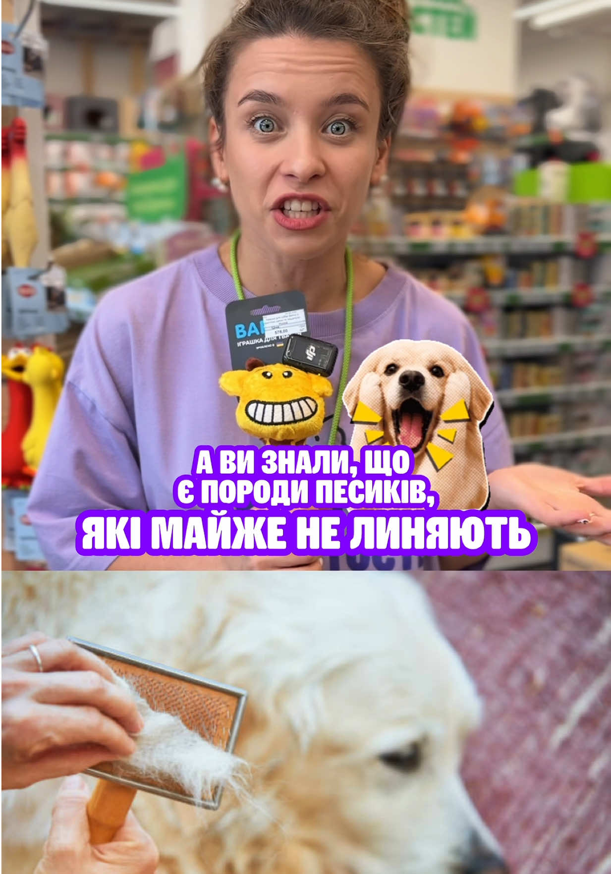 @Зоомаркет MasterZoo