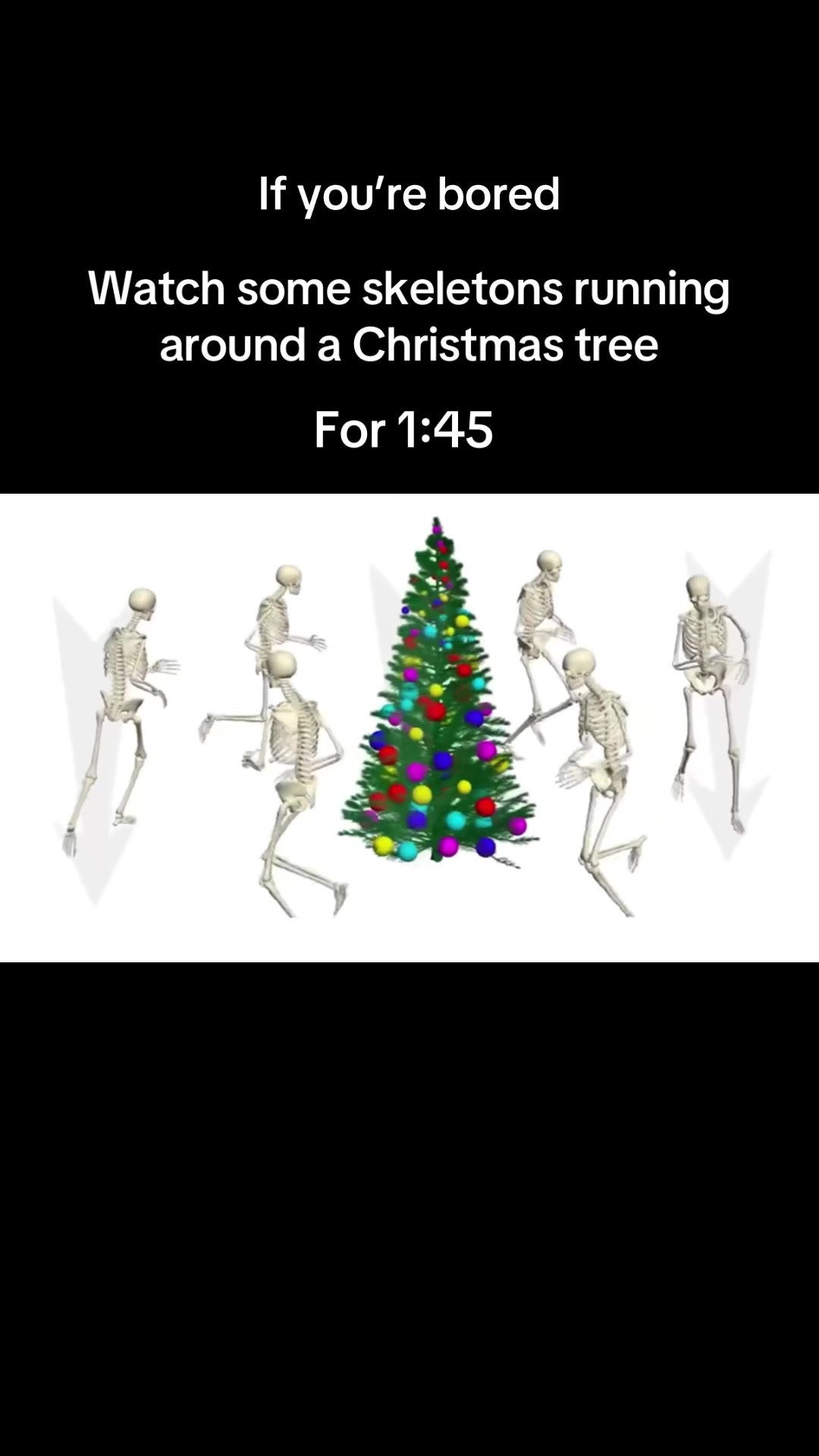 @✝️kc🇵🇱