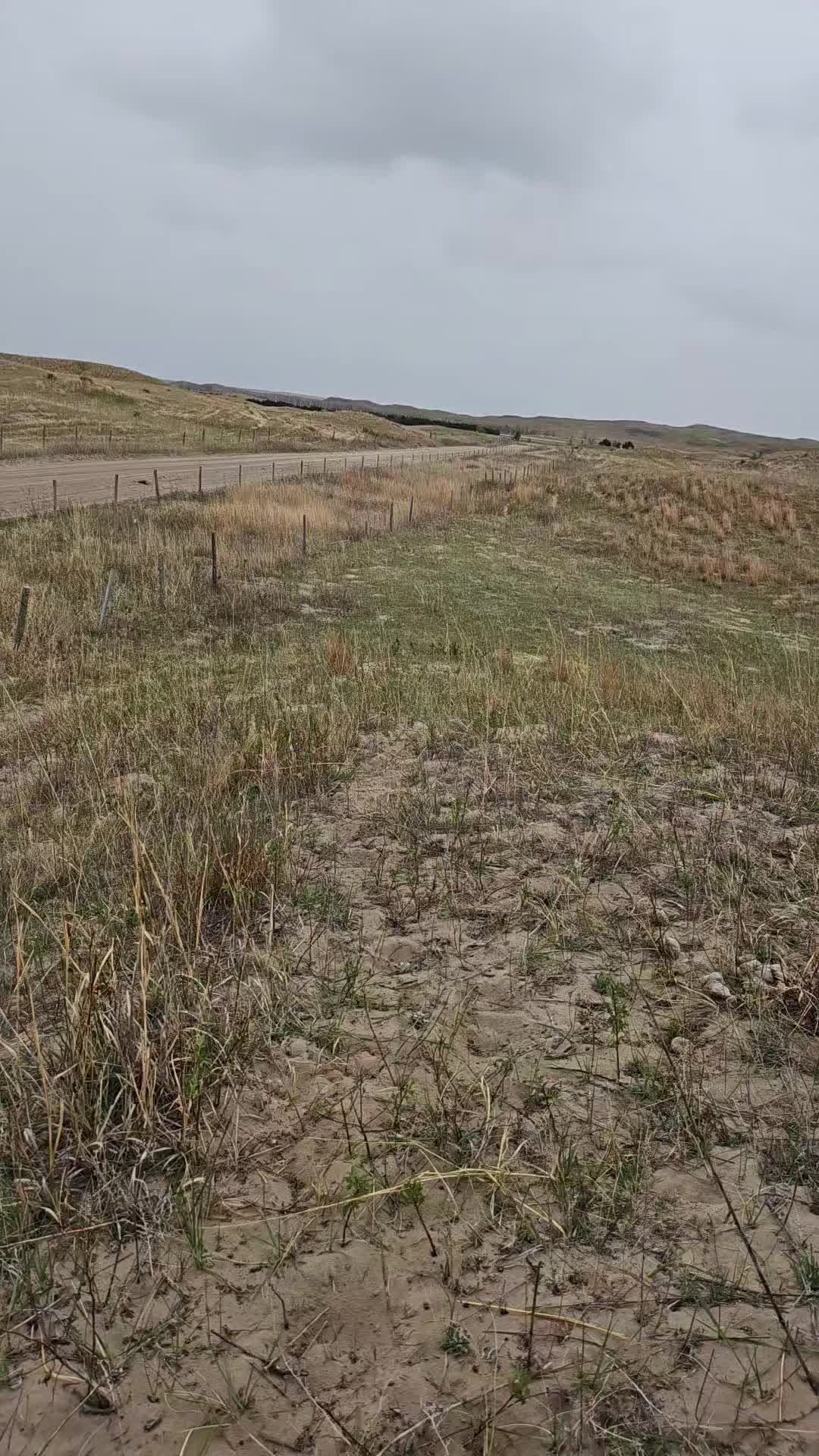 @hippy_cowboy