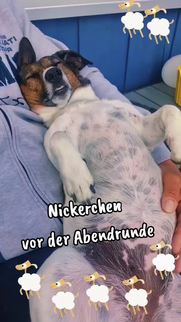 @Shari's wunderbare Welt