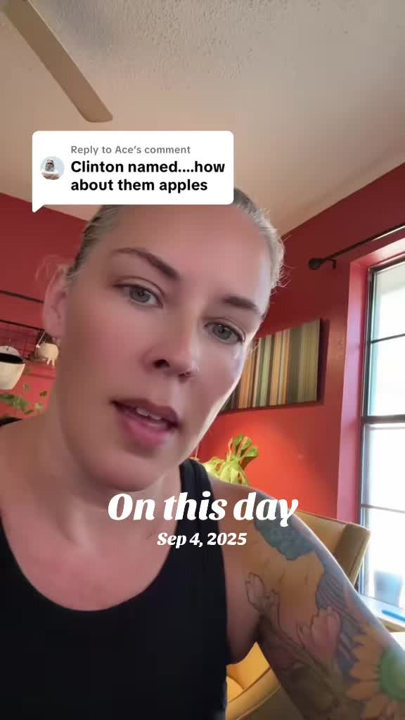 @ChaoticGoodFeminist🆘🇺🇸