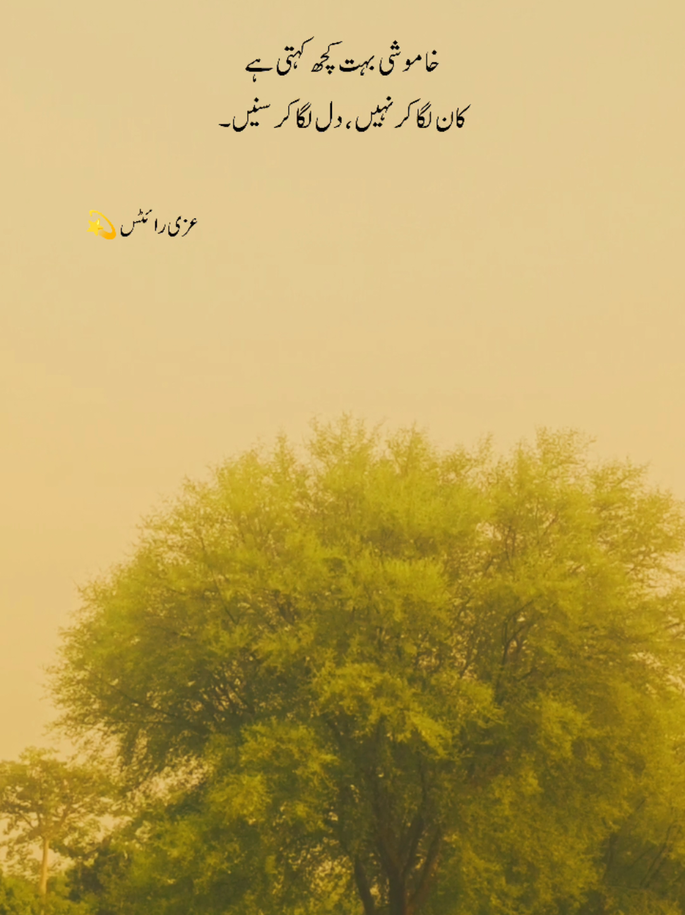 @Uzii write💫