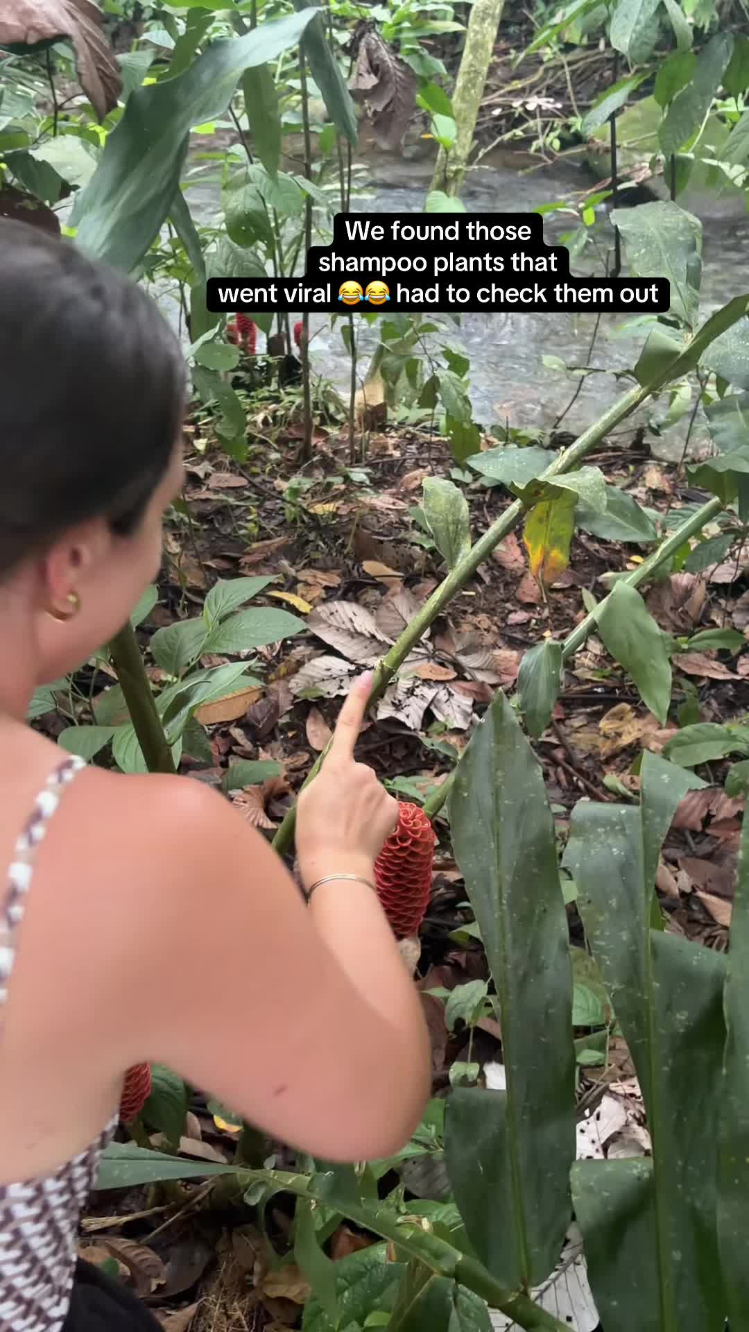 @casschatss