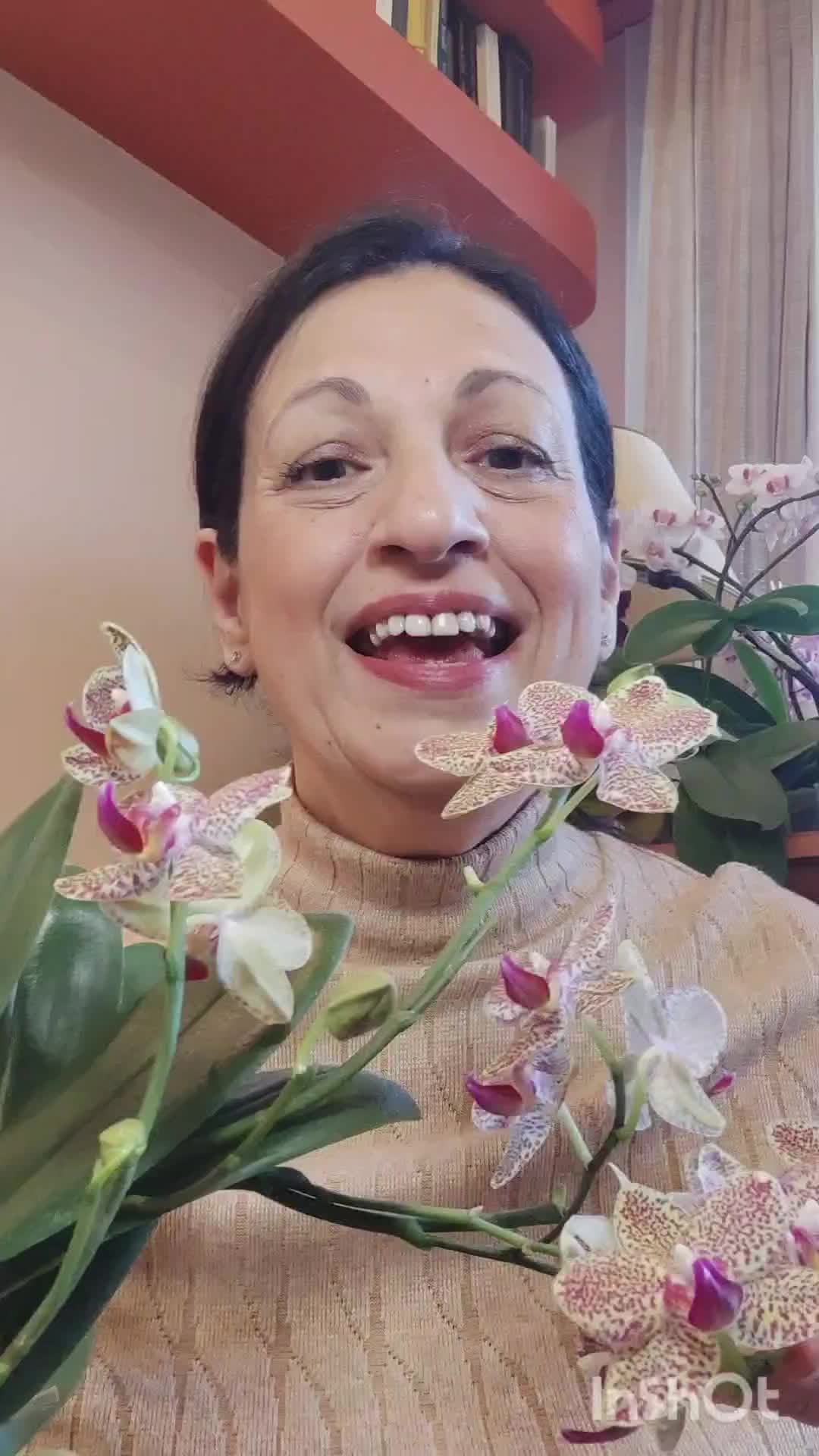 @All About Orchids