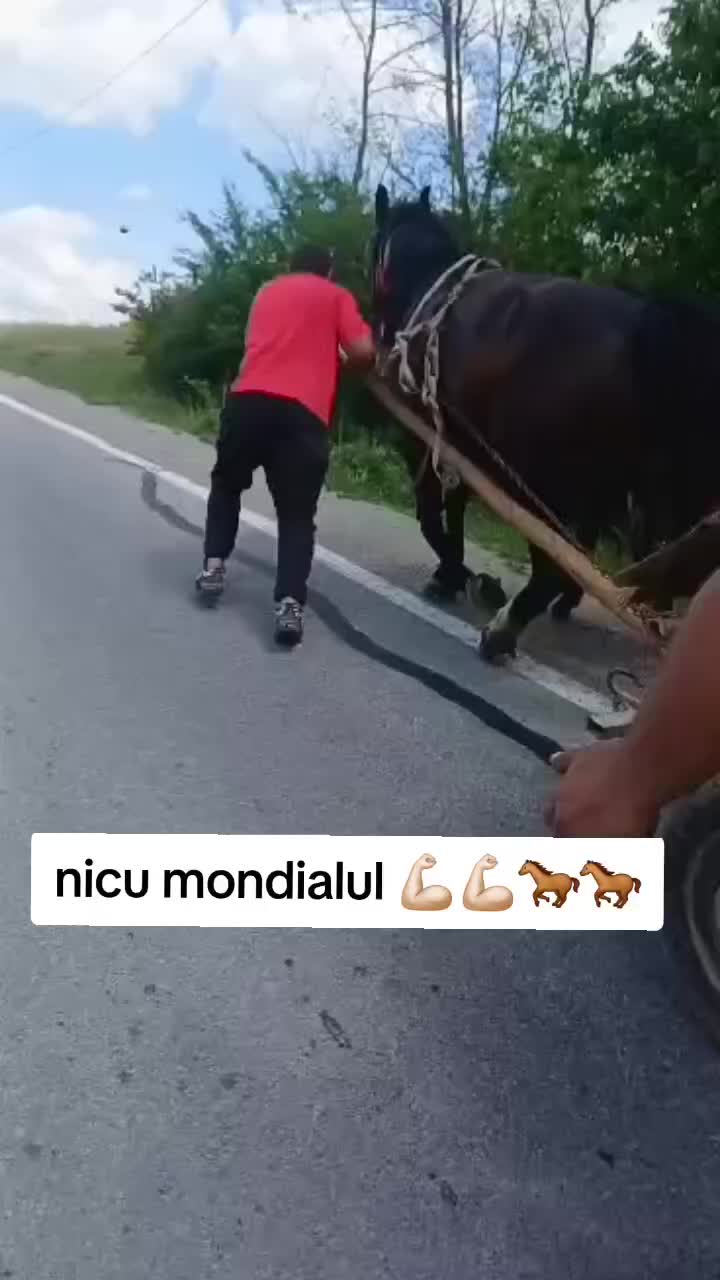 @Sandu😈