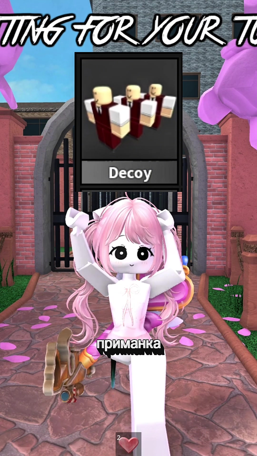 @mislankie