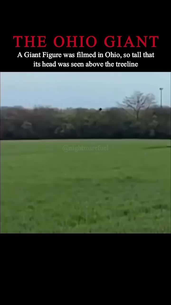 @NIGHTMARE FUEL