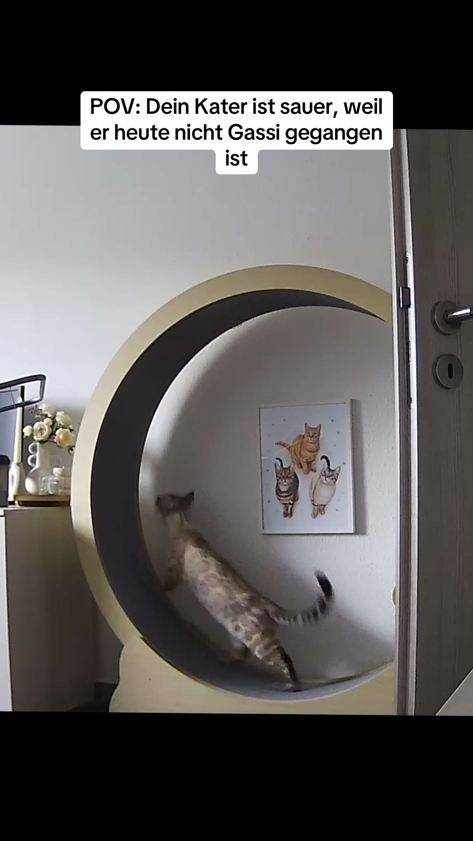 @Cat Mommy 🐆🤎