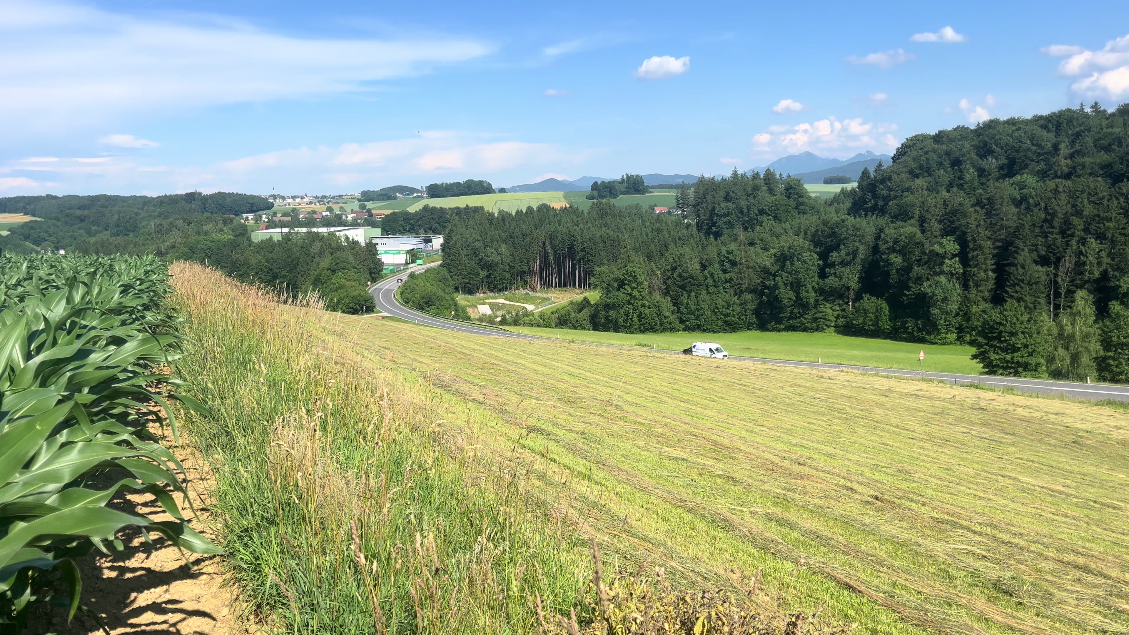 @tr&ouml;mme🌾💨💪