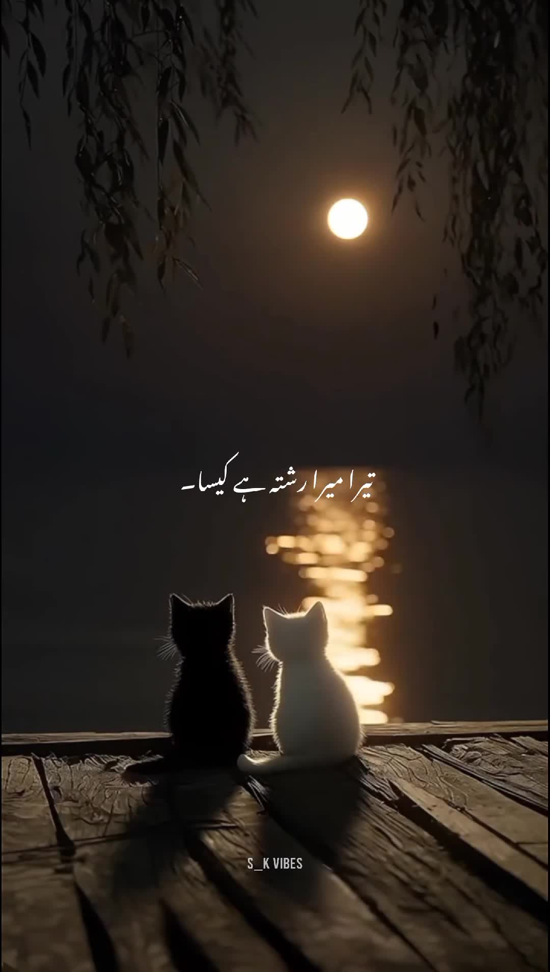 @S_K~Vibes ๐ซ