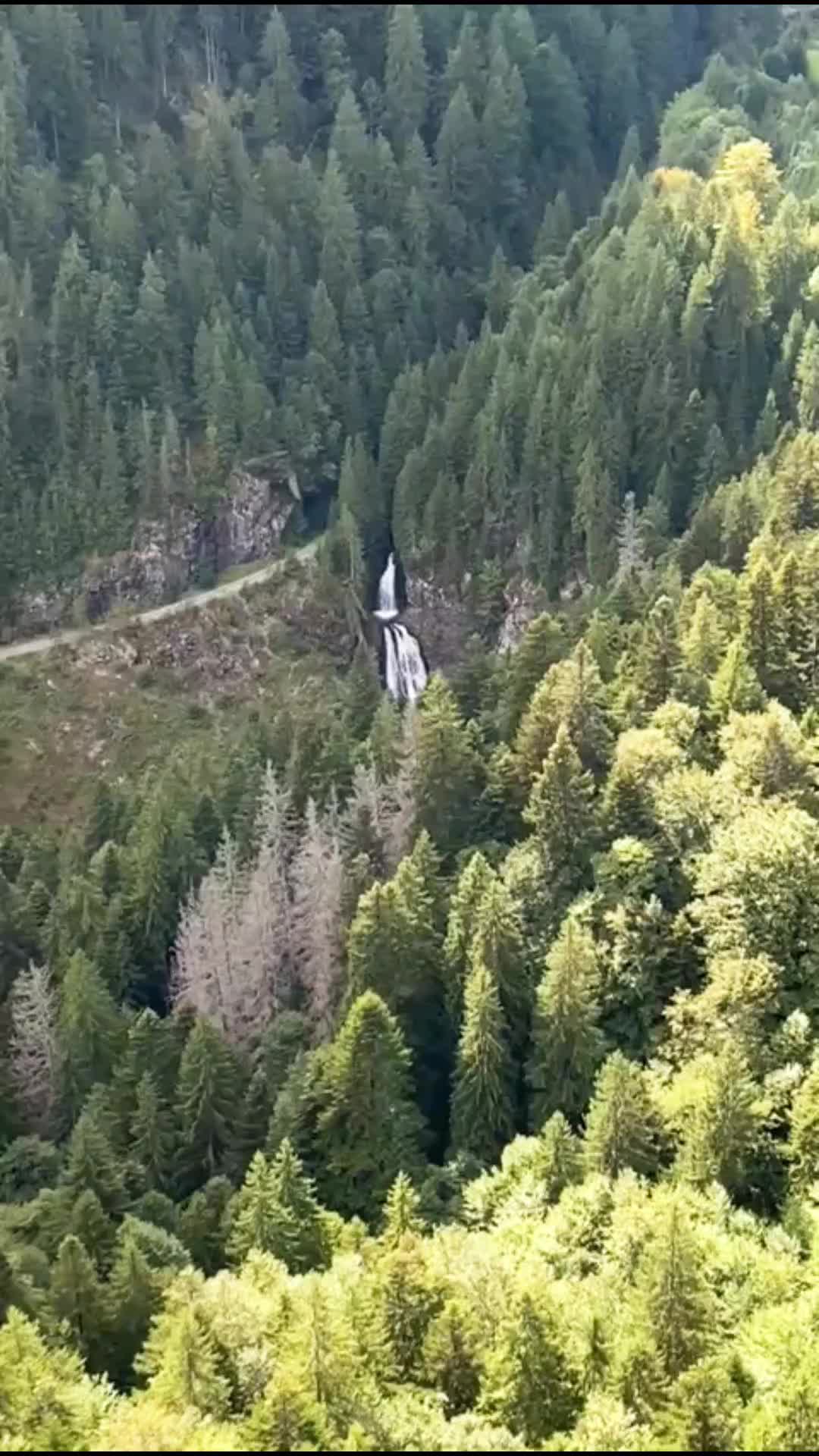 @adyad77