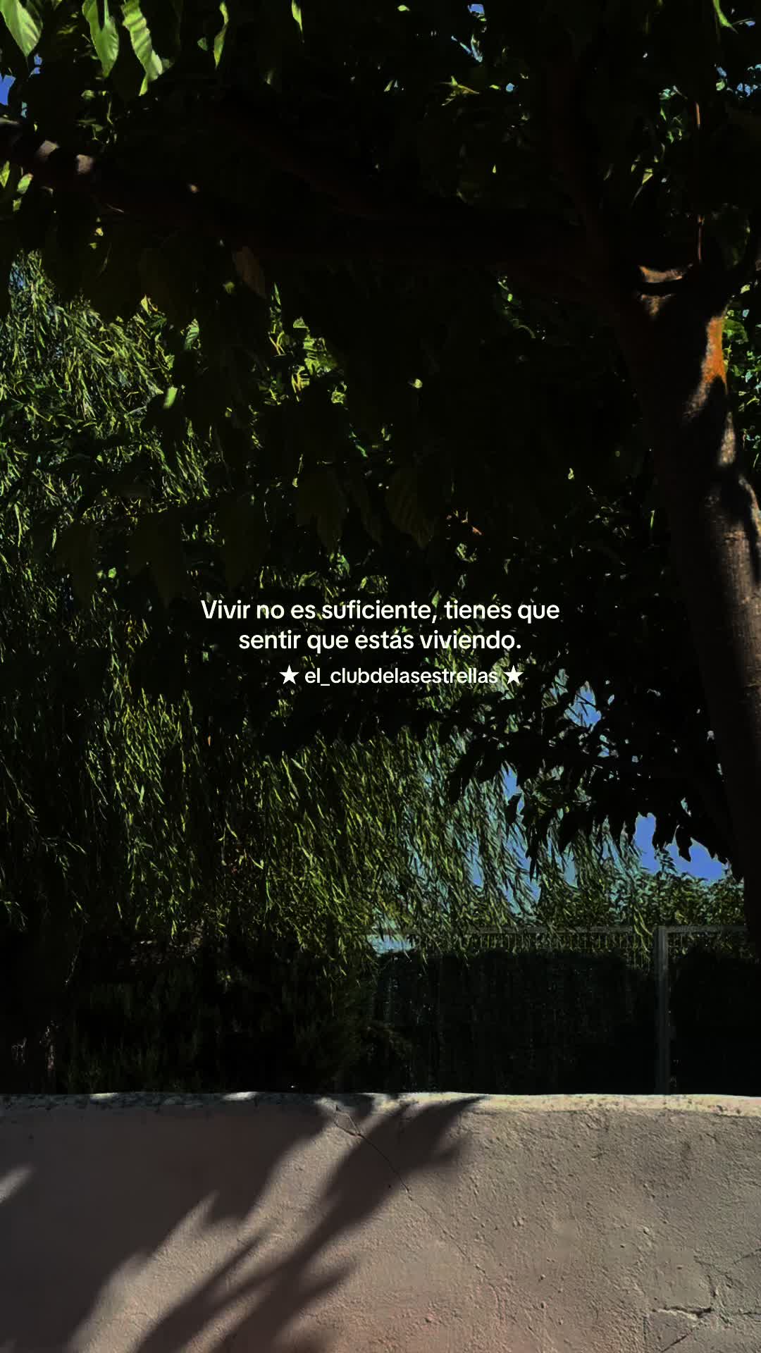 @★ el_clubdelasestrellas ★