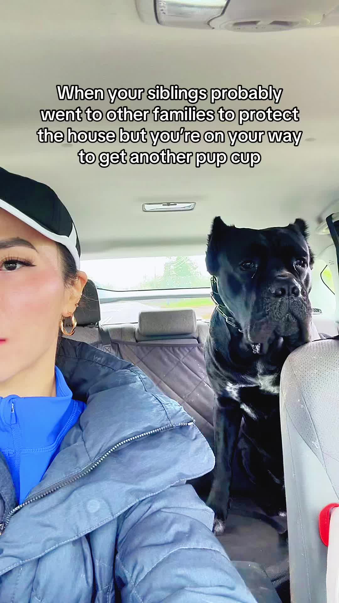 @Bentley Has Issues