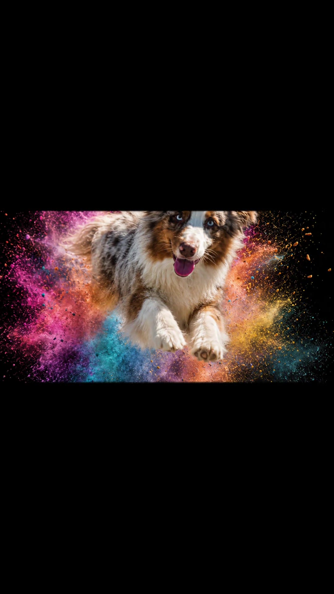 @Ilo🩵💜 - Nala et Falco❤️💙