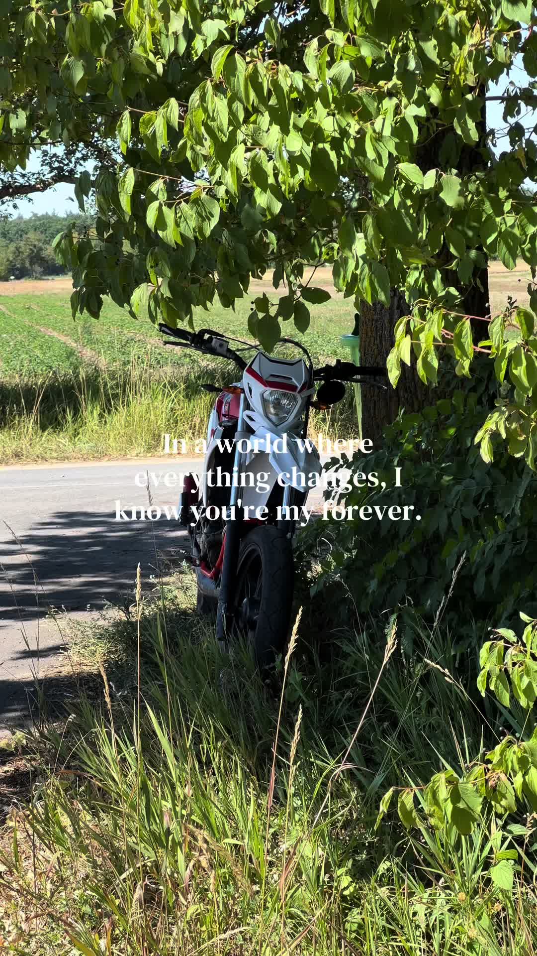 @๐ฆ